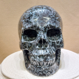 Gabbro merliniet of mystic merliniet human skull
