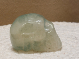 Fluoriet human skull