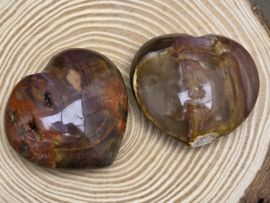Versteend hout hart