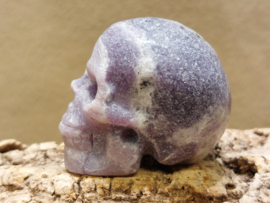 Lepidoliet human skull
