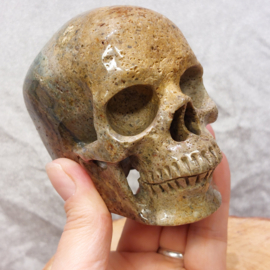 Oceaan jaspis human skull