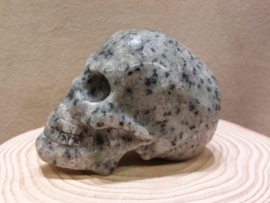 Kiwi jaspis human skull