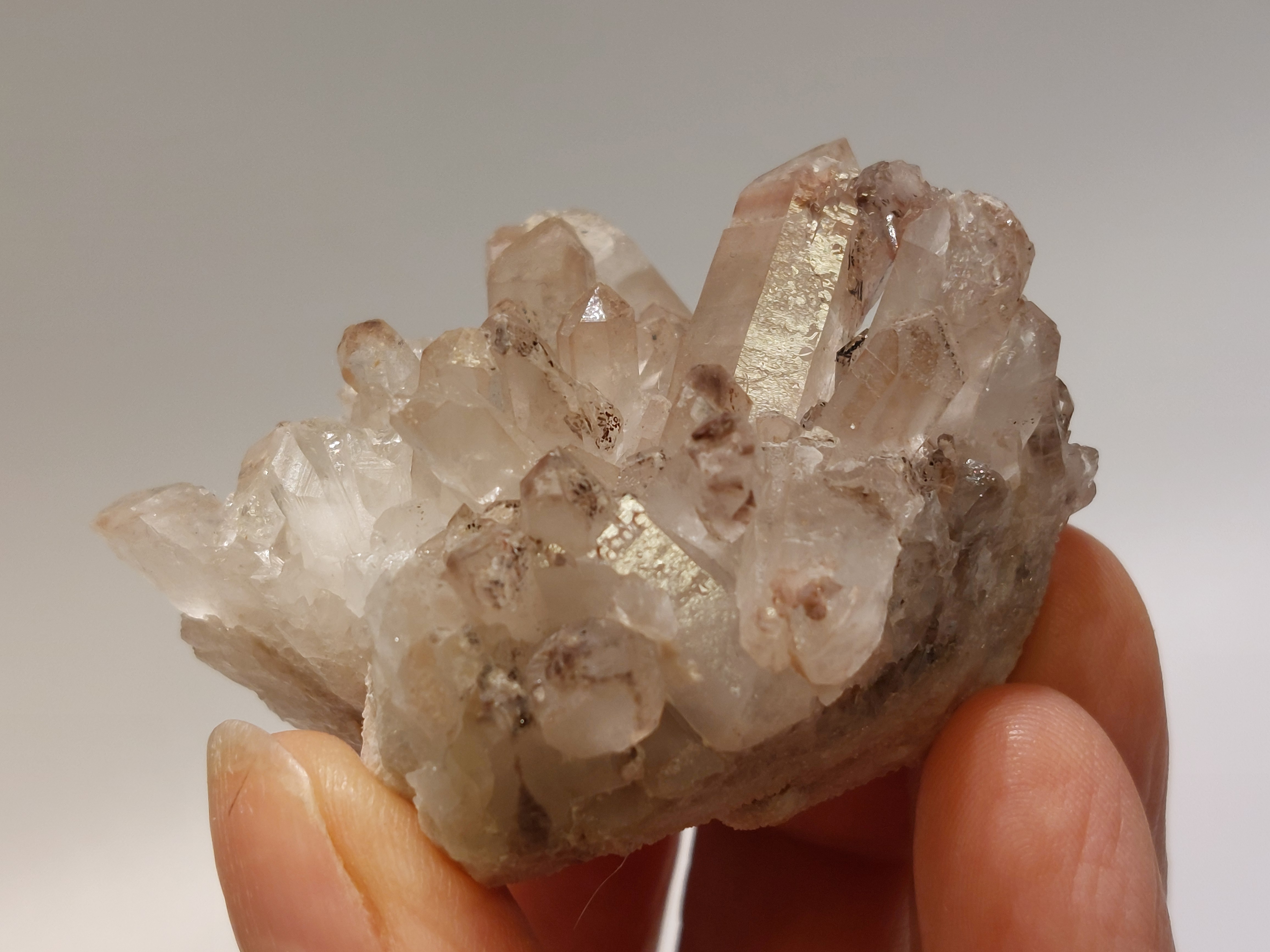 Maria magdalena cluster