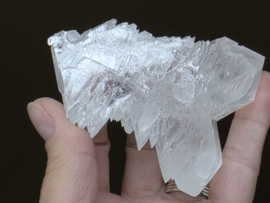 Engelenvleugel seleniet/angelwing seleniet fish tail, Mexico