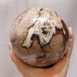 Versteend hout ei uit Indonesië 16cm