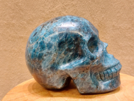 Apatiet human skull