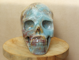 Blue carribean calciet human skull