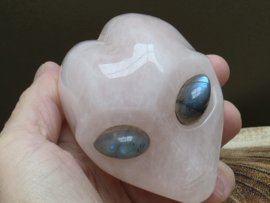 Rozenkwarts star being met labradoriet ogen