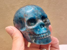 Apatiet human skull