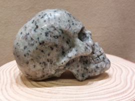 Kiwi jaspis human skull