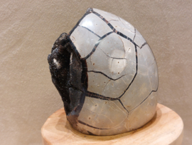 Wilde septarie sculptuur