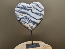 Zebra calciet hart uit Indonesië op standaard