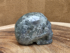 Mosagaat human skull