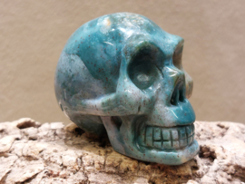 Oceaan jaspis human skull