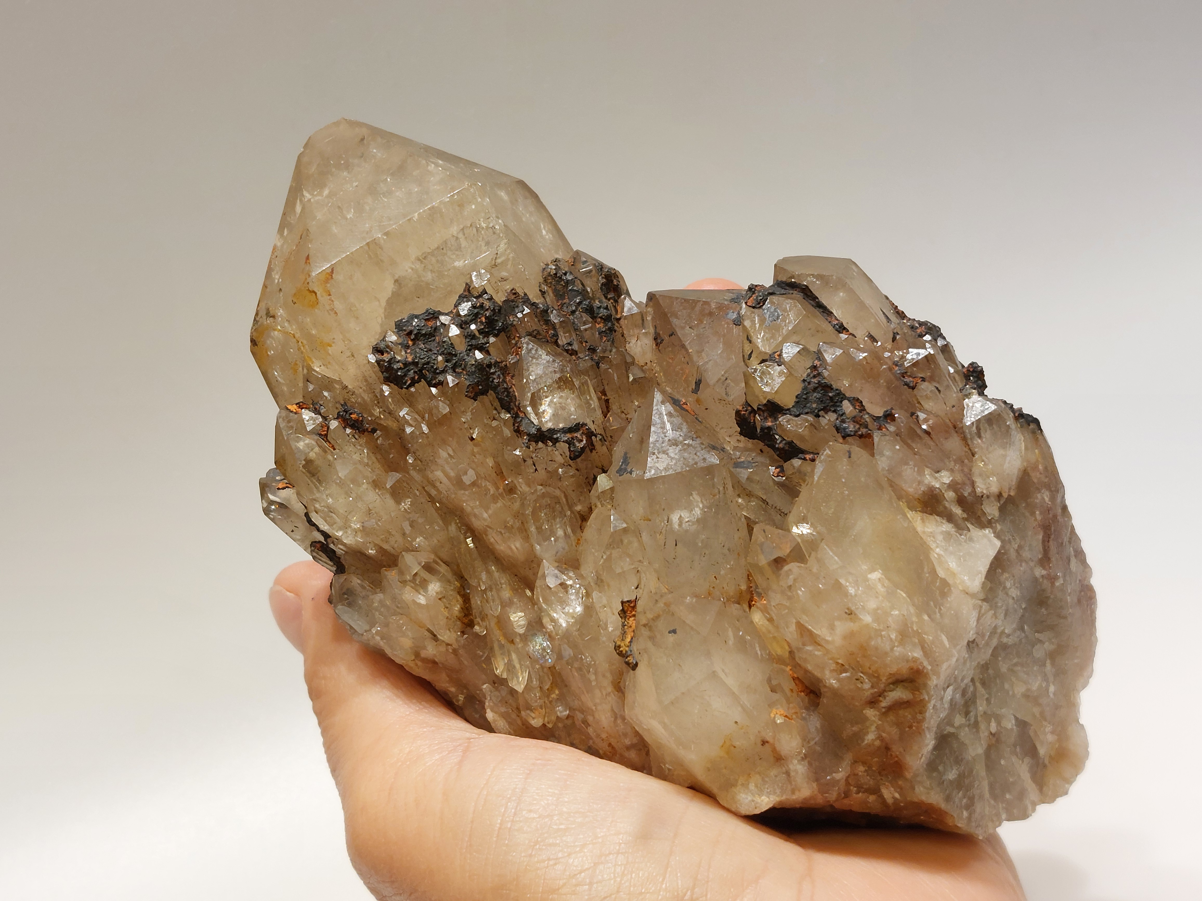 Kundalini citrien cluster uit Congo