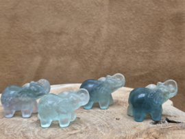 Fluoriet olifant
