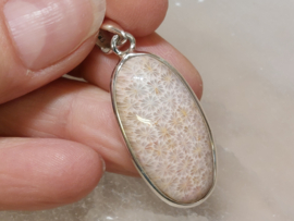 Fossiel koraal hanger in zilver