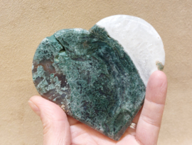 Mosagaat hart