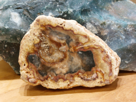 Versteend hout schijf