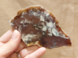 Paarse chalcedoon schijf