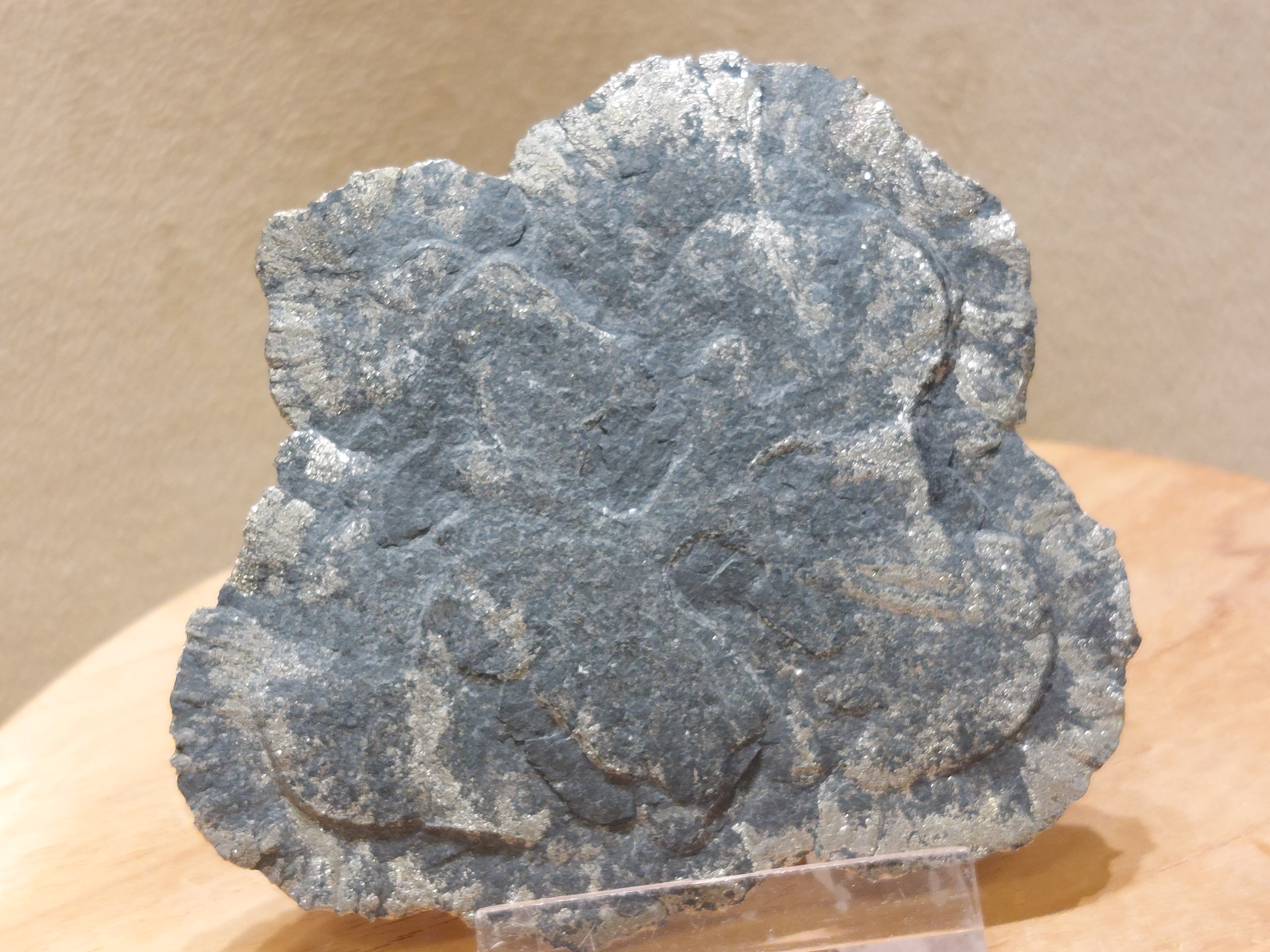 Pyrietzon