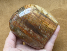 Versteend hout sculptuur