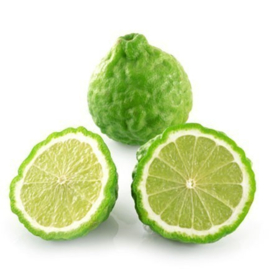 Bergamot reggio