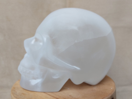 Seleniet/satijnspaat human skull