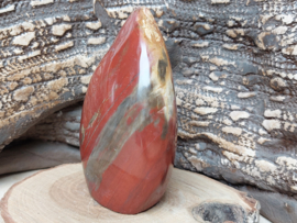 Versteend hout sculptuur