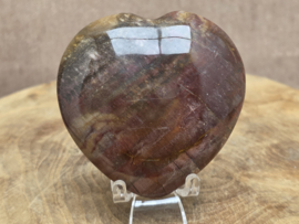 Versteend hout hart
