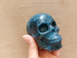 Apatiet human skull