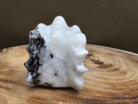 Regenboog maansteen draak