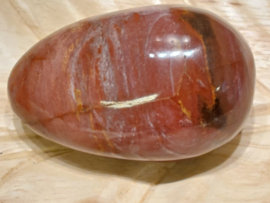 Versteend hout handsteen