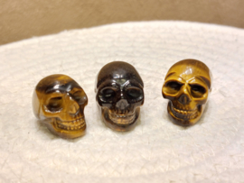Tijgeroog skullie