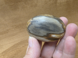 Versteend hout handsteen