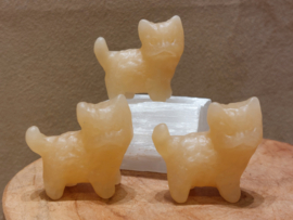 Oranje calciet kat