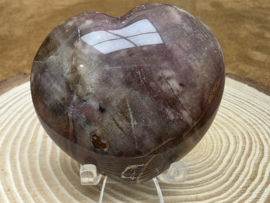 Versteend hout hart