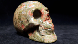 Unakiet skull
