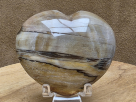 Versteend hout hart