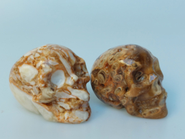 Chocolade calciet/aragoniet human skulls set