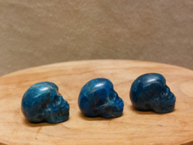 Apatiet skullie