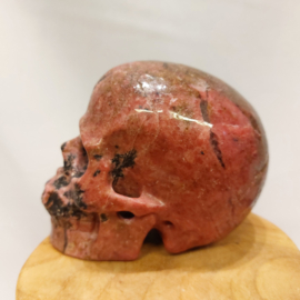 Rhodoniet human skull