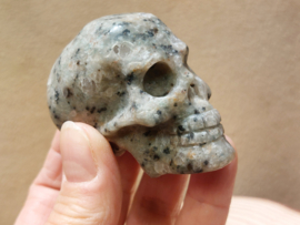 Kiwi jaspis human skull