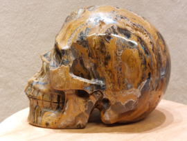 Tijgerijzer human skull