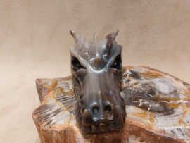 Versteend hout draak