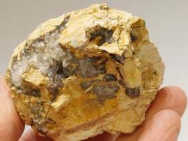 Hondentand calciet uit Marokko