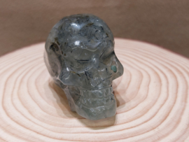 Prehniet human skull