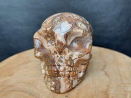 Chocolade calciet/aragoniet human skull