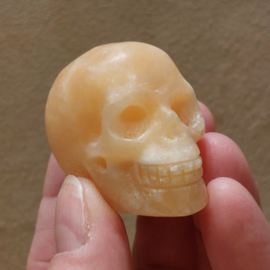 Oranje calciet human skull