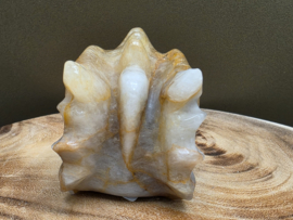 Golden healer of limoniet kwarts draak